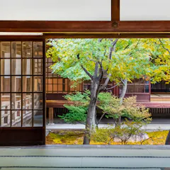 Kennin-ji Temple View from inside a traditional Japanese room with tatami flooring, looking out through wooden sliding doors onto a serene garden with green and yellow-leaved trees and a wooden building in the background.
