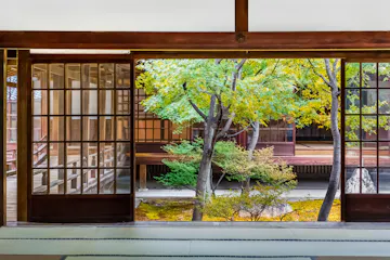 Kennin-ji Temple View from inside a traditional Japanese room with tatami flooring, looking out through wooden sliding doors onto a serene garden with green and yellow-leaved trees and a wooden building in the background.