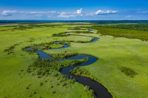 Kushiro Marshland