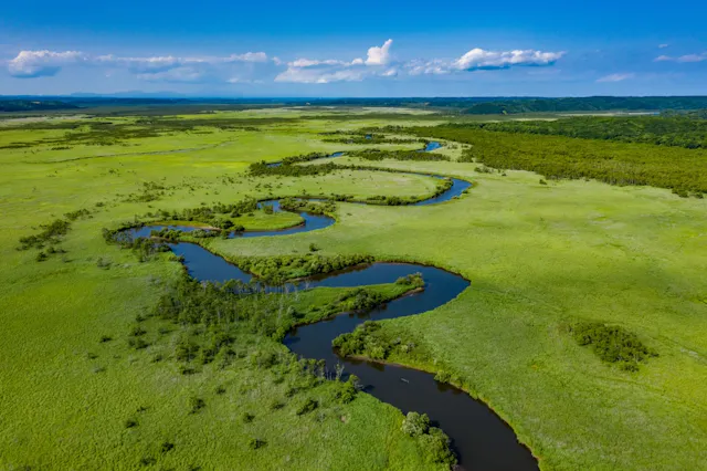 A winding river flows through a vast green grassland under a bright blue sky with scattered clouds, surrounded by distant forests and hills.