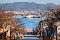 A view down a tree-lined street leading to a harbor with docked ships, city buildings, and distant mountains under a clear sky.