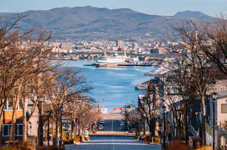 A view down a tree-lined street leading to a harbor with docked ships, city buildings, and distant mountains under a clear sky.