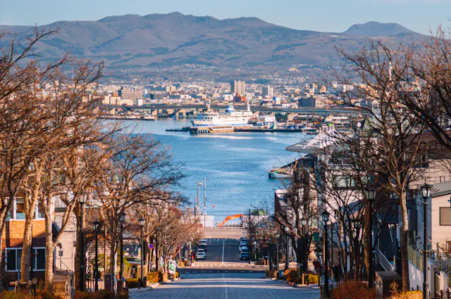 A view down a tree-lined street leading to a harbor with docked ships, city buildings, and distant mountains under a clear sky.