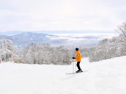 Myoko Kogen Ski Area A person in an orange jacket skis down a snowy slope surrounded by snow-covered trees, with distant mountains and a cloudy sky in the background.