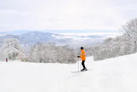 A person in an orange jacket skis down a snowy slope surrounded by snow-covered trees, with distant mountains and a cloudy sky in the background.