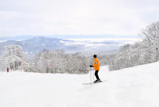 A person in an orange jacket skis down a snowy slope surrounded by snow-covered trees, with distant mountains and a cloudy sky in the background.