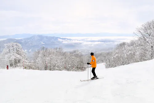 A person in an orange jacket skis down a snowy slope surrounded by snow-covered trees, with distant mountains and a cloudy sky in the background.