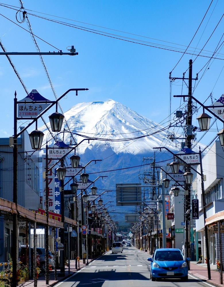 Fuji Honchodori