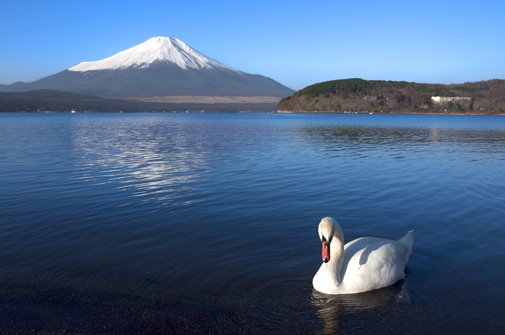 Lake Yamanaka