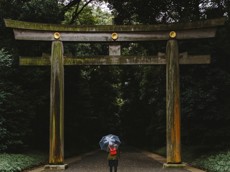 독점 도쿄 발견: 사적 가이드 데이 투어