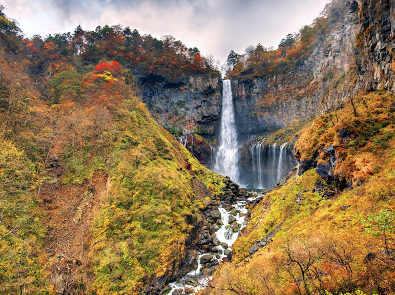 Exclusive Full-Day Nikko Private Tour with English-Speaking Driver