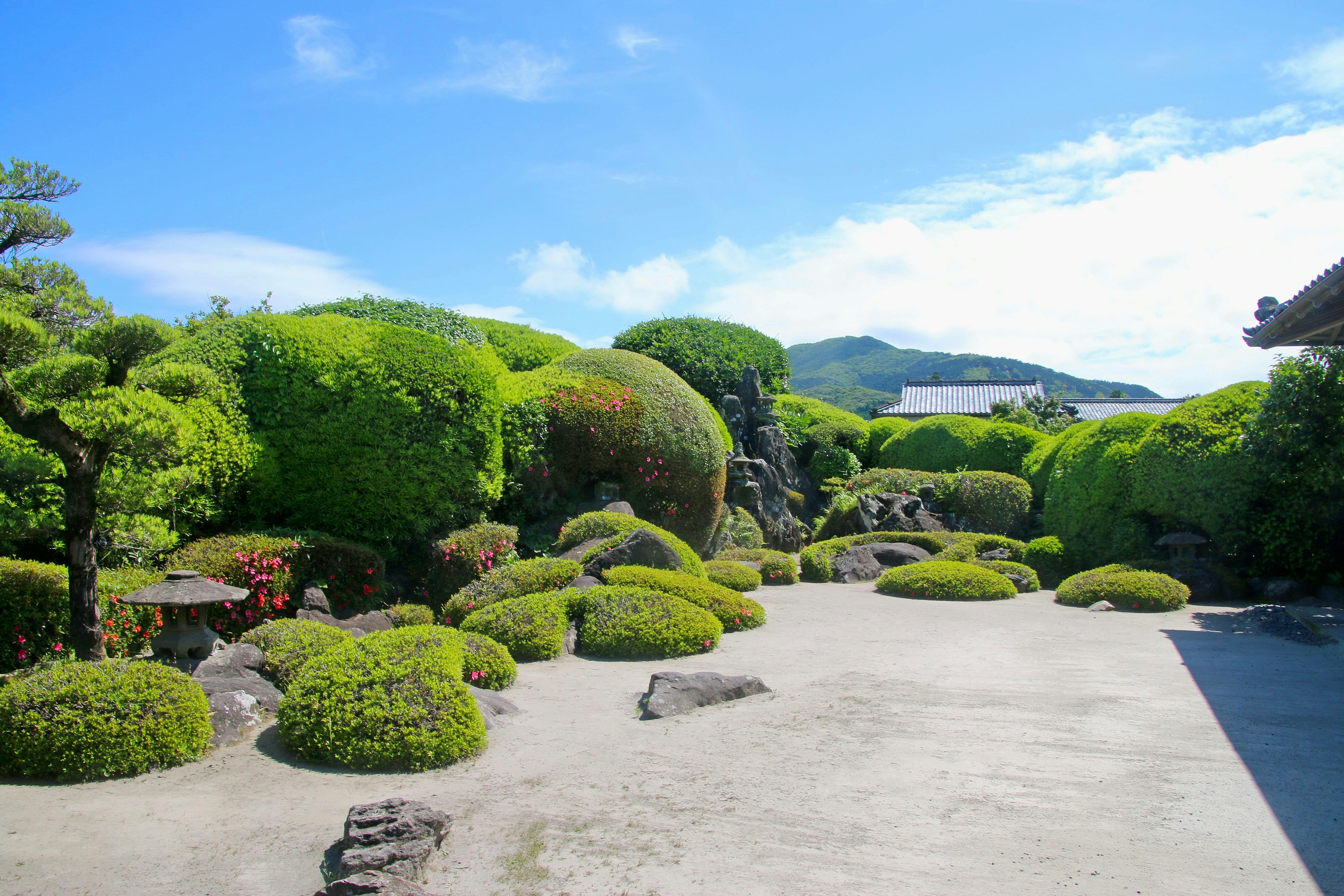 指宿知覧一日遊（英語導遊）
