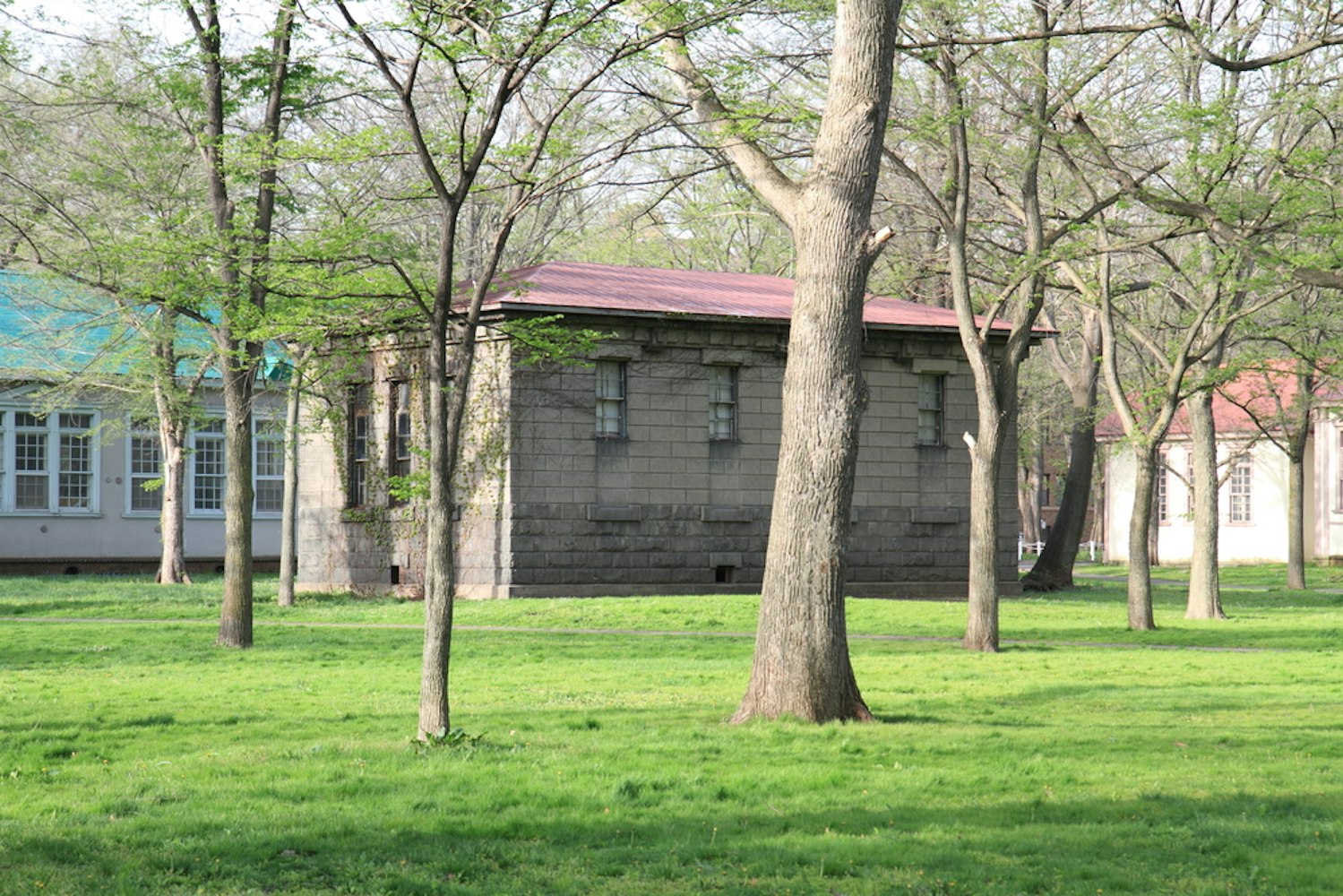 Hokkaido University