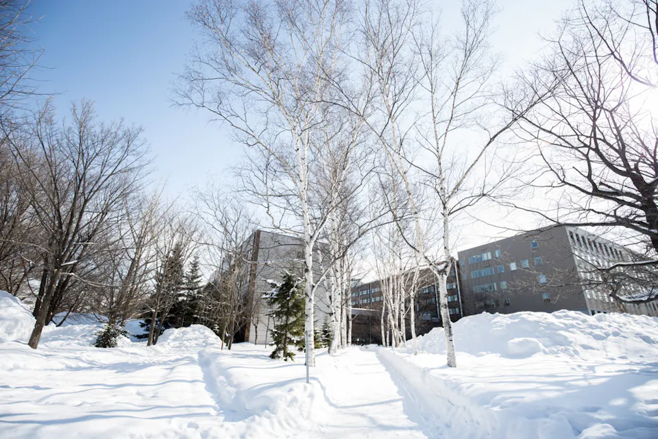 Hokkaido University Hokkaido University