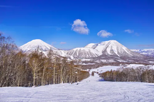 Snow-covered ski slope lined with bare trees, with skiers in the distance and two large, white-peaked mountains under a clear blue sky in the background.