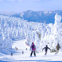 Zao Onsen Ski Resort Zao Onsen Ski Resort