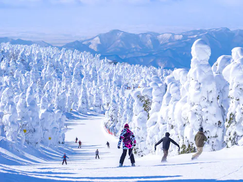 Zao Onsen Ski Resort Zao Onsen Ski Resort