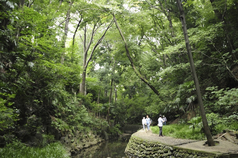 Todoroki Valley