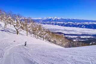 A skier descends a snowy slope lined with frosty trees, with vast plains and distant snow-capped mountains under a clear blue sky in the background.