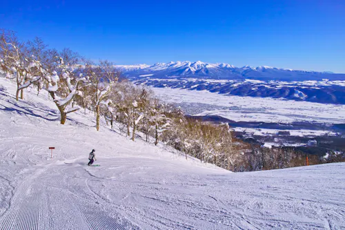 A skier descends a snowy slope lined with frosty trees, with vast plains and distant snow-capped mountains under a clear blue sky in the background.