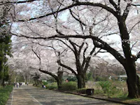 Jindai Botanical Gardens