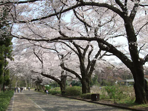 Jindai Botanical Gardens