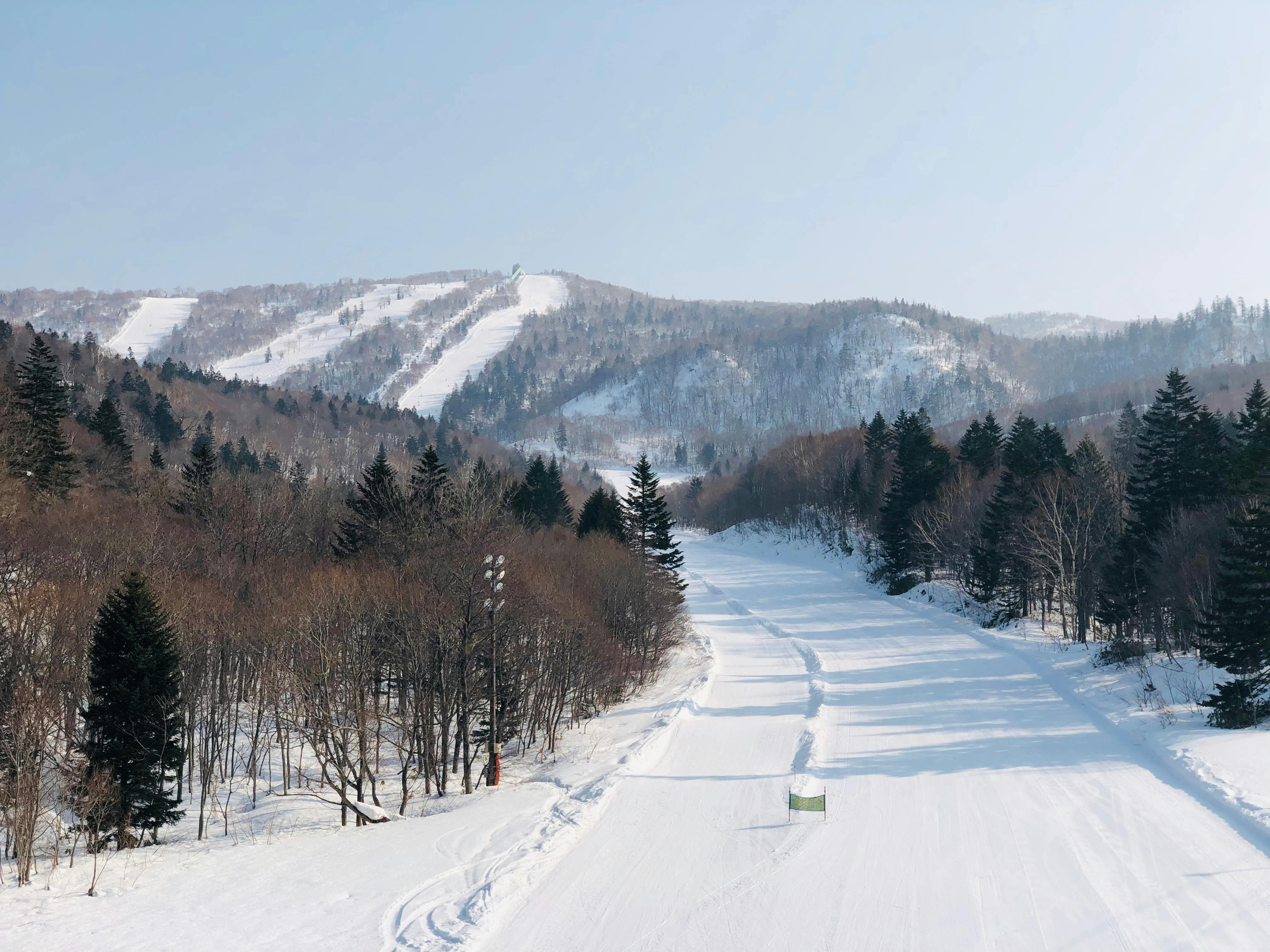 A snow-covered ski slope winds through a forested area with pine and bare trees, leading towards distant mountains under a clear blue sky.