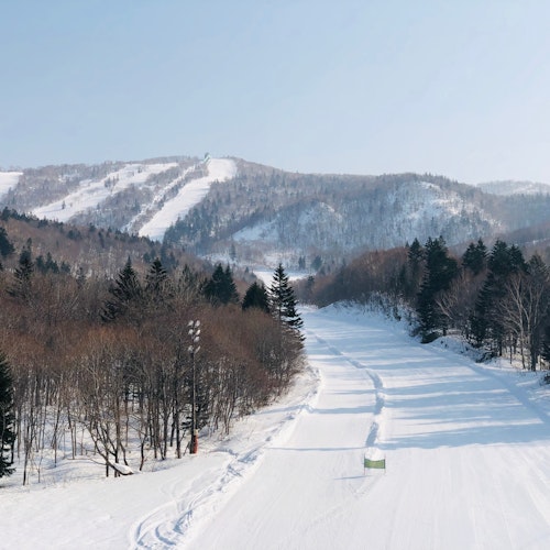 Kiroro Resort A snow-covered ski slope winds through a forested area with pine and bare trees, leading towards distant mountains under a clear blue sky.