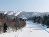 A snow-covered ski slope winds through a forested area with pine and bare trees, leading towards distant mountains under a clear blue sky.