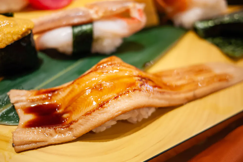 Saltwater Eel Saltwater Eel