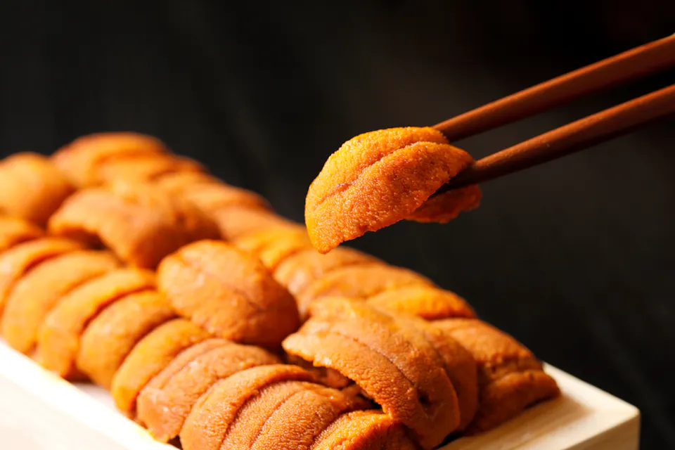 Sea Urchin 어두운 배경에 잘 정리된 우니 초밥이 담긴 쟁반에서 우니(해삼) 조각을 들어올리는 젓가락 한 쌍.