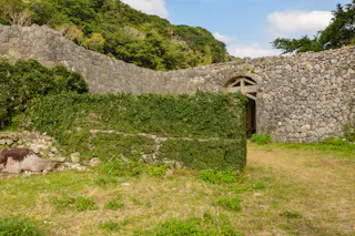 Stone walls of an ancient ruin, partially covered with green moss and vines, stand under a blue sky with scattered clouds. Trees and grassy areas surround the historic structure.