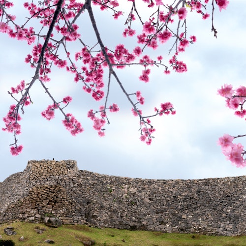 Okinawa - Trip To Japan