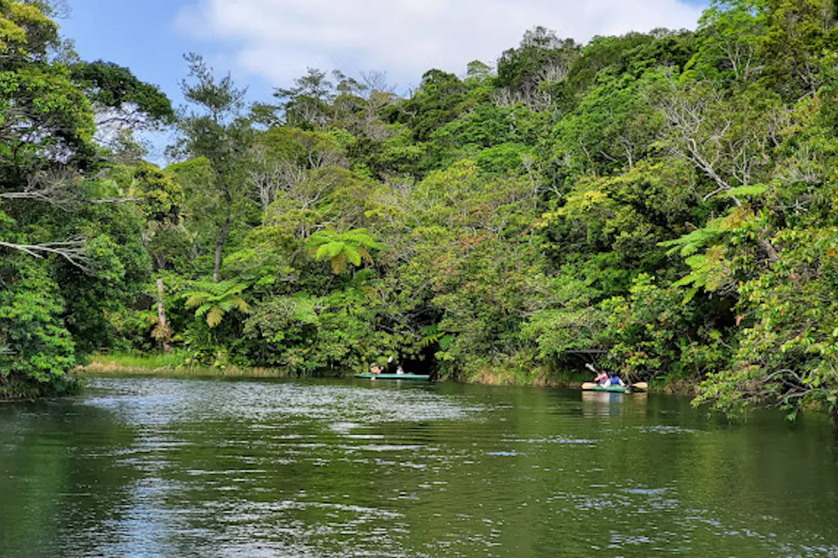 Bios on the Hill Bios on the Hill