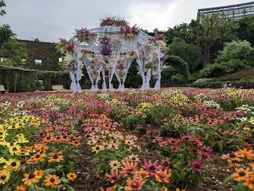 Okinawa Churaumi Botanical Garden