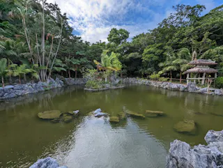 A koi pond surrounded by rocks and lush tropical greenery, with a small gazebo on the right and a partly cloudy sky overhead.