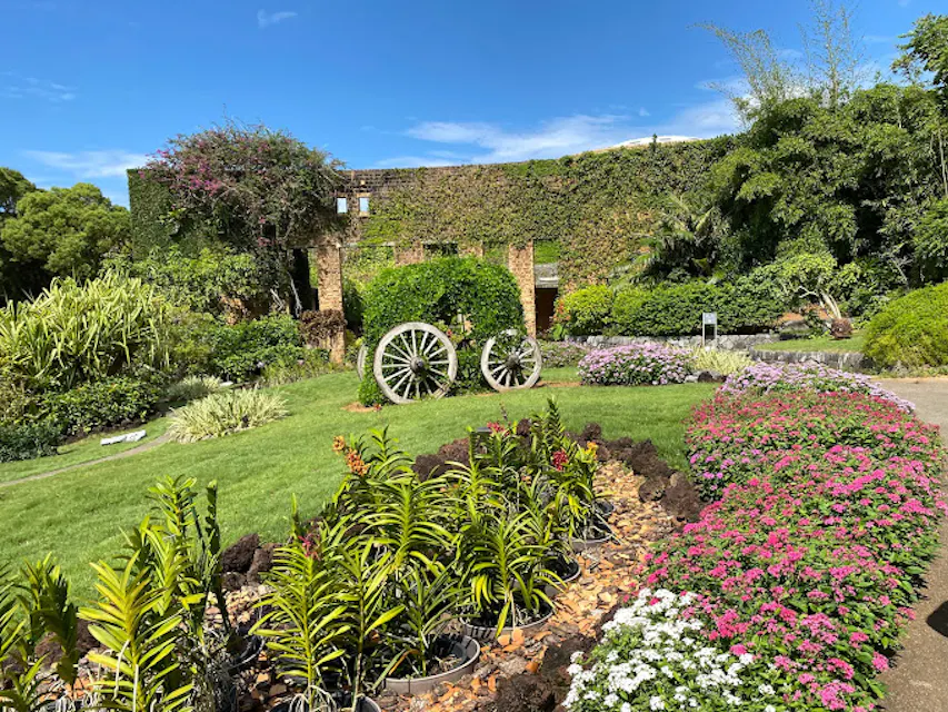 Tropical Dream Center