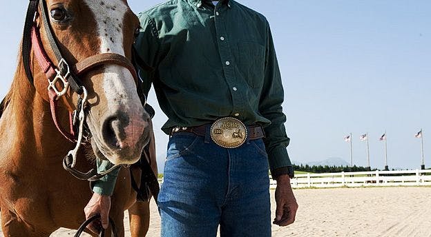 A close-up of a brown horse and a person dressed in a denim outfit with a large belt buckle, holding the horse's reins. In the background, there are racing tracks and flags.