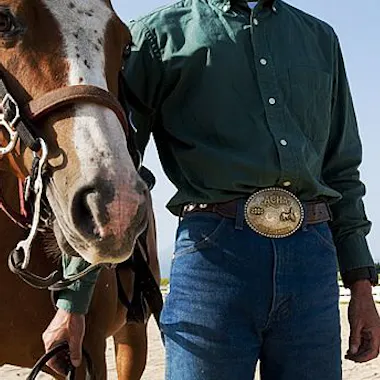 El Patio Ranch A close-up of a brown horse and a person dressed in a denim outfit with a large belt buckle, holding the horse's reins. In the background, there are racing tracks and flags.