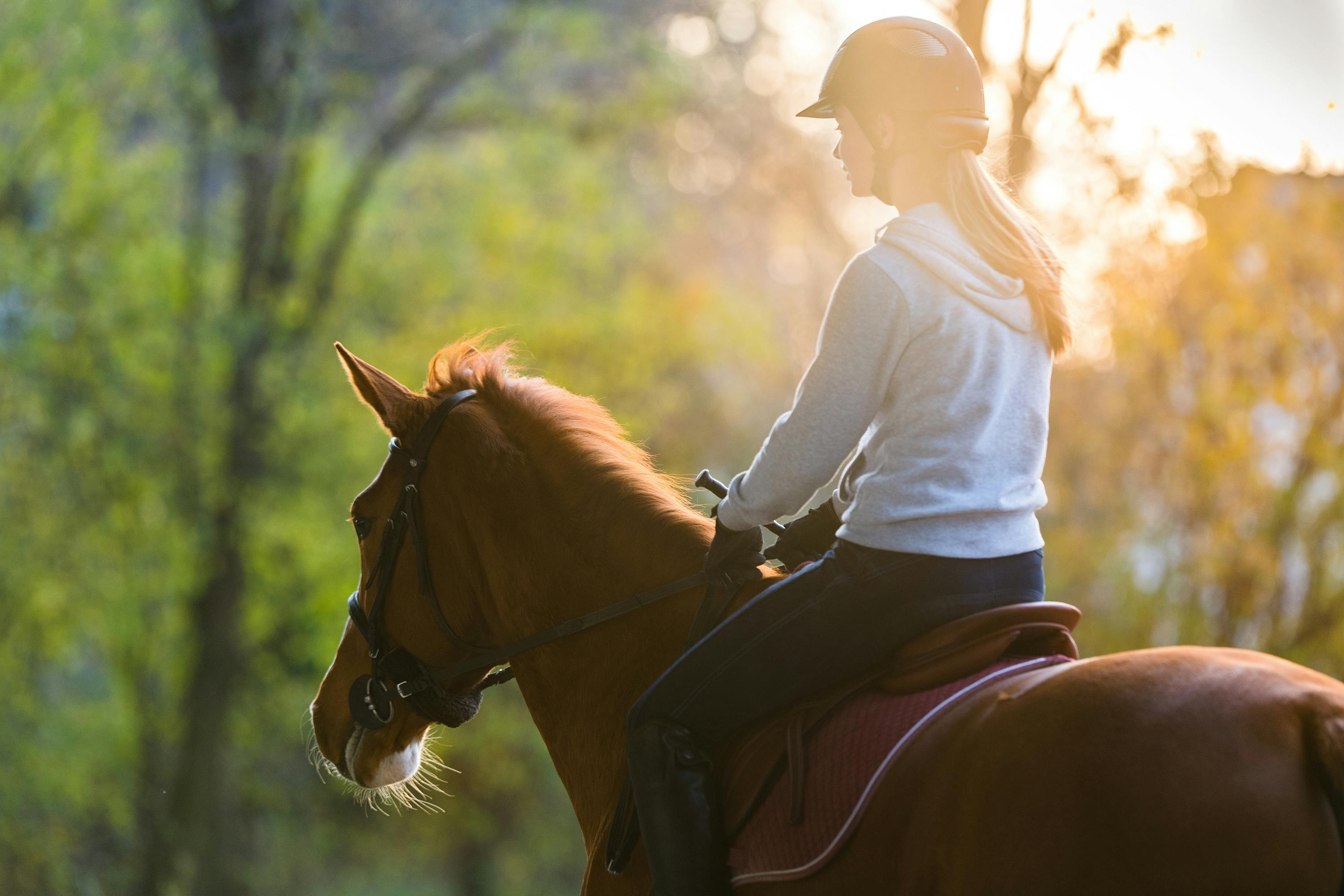 A woman in a riding helmet and casual clothing rides a chestnut horse in a sunlit forest, capturing a moment of tranquil equestrian activity at dusk.