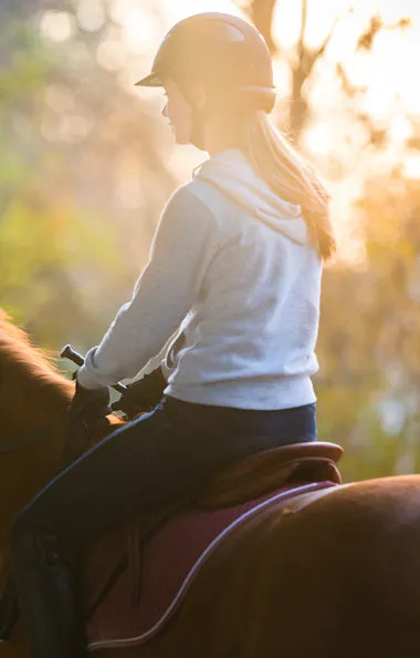 Horseback Riding A woman in a riding helmet and casual clothing rides a chestnut horse in a sunlit forest, capturing a moment of tranquil equestrian activity at dusk.