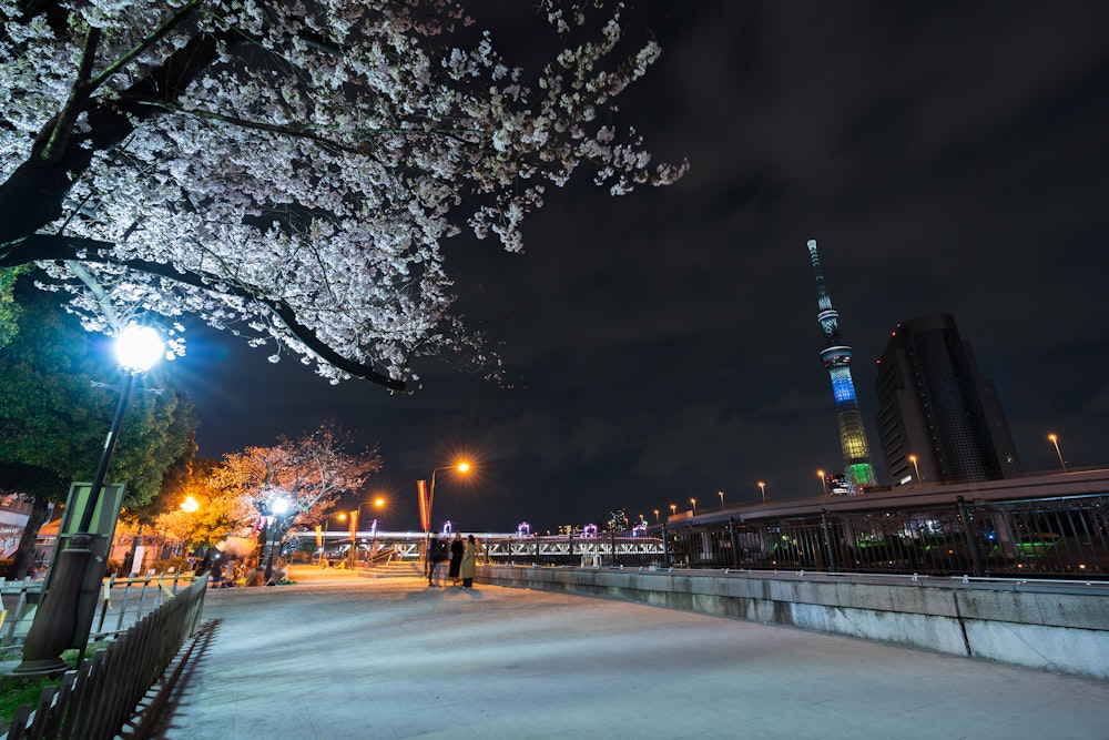 Sumida Park