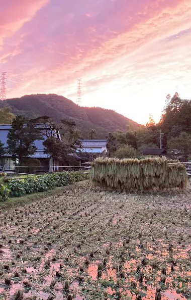 Satoyama Walking Tour Satoyama Walking Tour