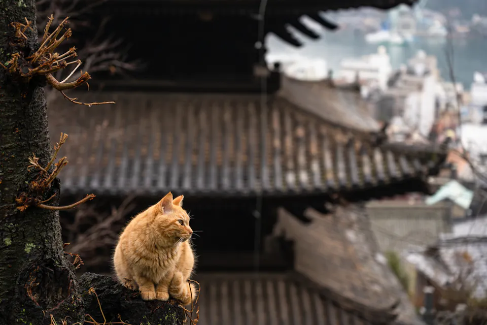 Cat Alley 一只姜黄色的猫坐在树枝上,俯瞰着一座传统的多层宝塔,背景是城市景观和水道。猫的目光朝向左边,场景呈现阴云密布的氛围。