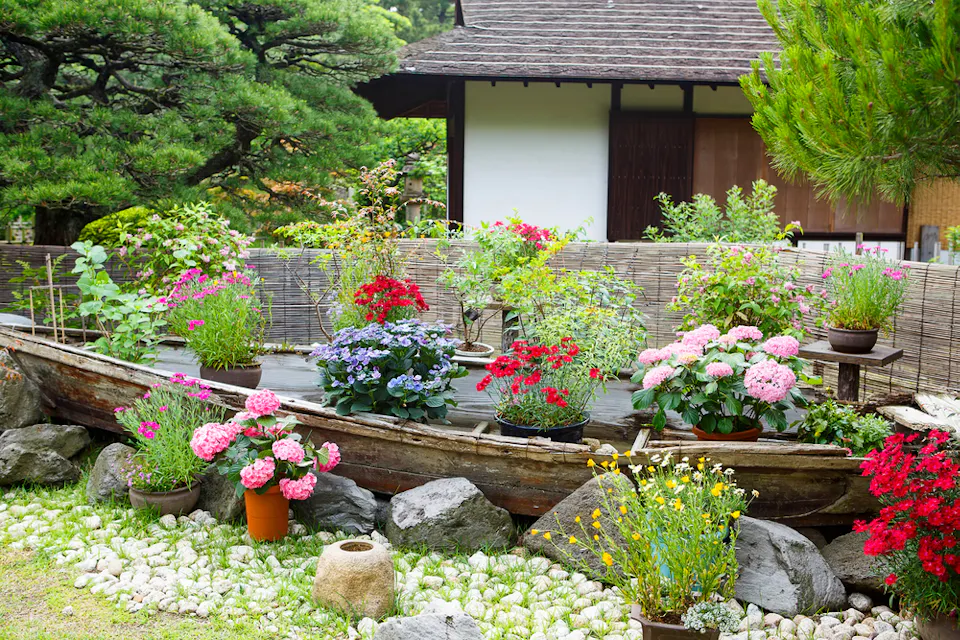 Shukkeien Garden 一个郁郁葱葱的花园,里面盛开着各种色彩斑斓的花朵。花朵被摆放在花盆中,放置在一只陈旧的木船上,船周围是一片白色的石头。花园周围是绿色的松树和一座有茅草屋顶的传统木屋。