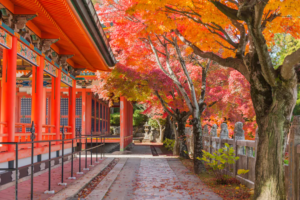 Hiroshima in Fall