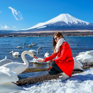 Lake Yamanaka Lake Yamanaka