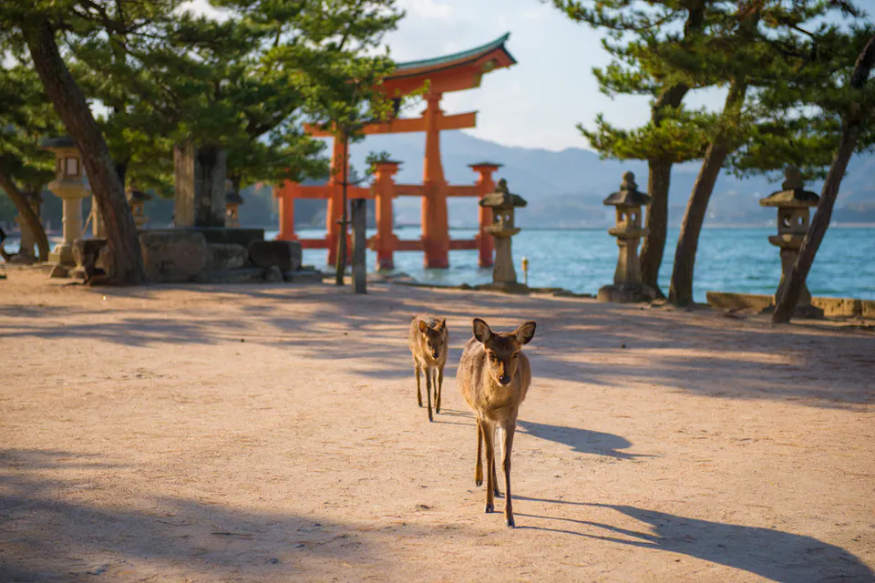 Miyajima Island