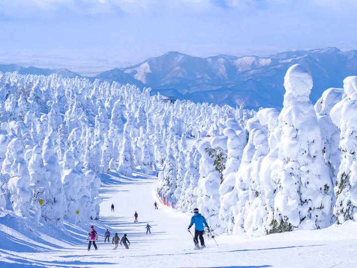 Yamagata overview