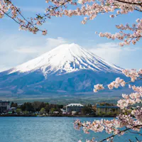 Mount Fuji Snow-capped Mount Fuji framed by pink cherry blossoms against a clear blue sky. A calm body of water and a small town are visible in the foreground.